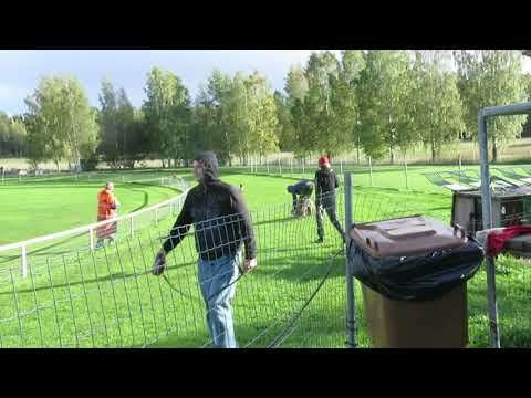 Kuninkuusjuoksut 2018 - Helsingin Vinttikoirakerho