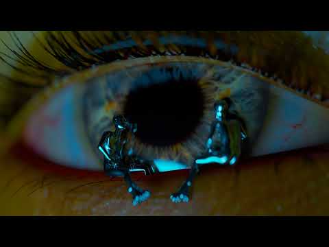 Axel Kala - Sait mut jäämään (Audio) ft. Skywalk