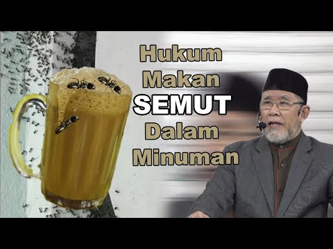 Hukum Makan Semut Dalam Minuman | Dato' Dr. Danial Zainal Abidin