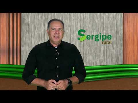 SERGIPE RURAL - PROGRAM 23 - 2nd season