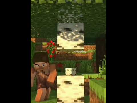 evolution of merge villager -Minecraftanimation
