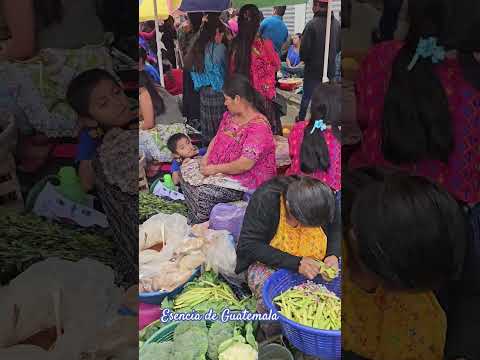 Un día de plaza en el mayoreo de #Tactic #AltaVerapaz