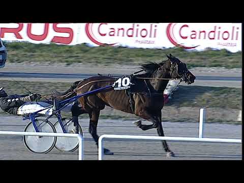Napoli Trotto 10/02/2023 - 6ª corsa