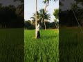 Iyarkai Kachikal Gramathu View