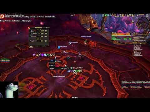 3930 IO, 8/8M R1 (Raid) Hunter | High Mythic+|  !ui !patreon !coaching !guide !simcaveats !dinar