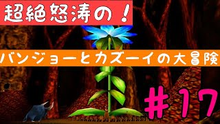 【バンジョーとカズーイの大冒険】超絶怒涛の！　１７
