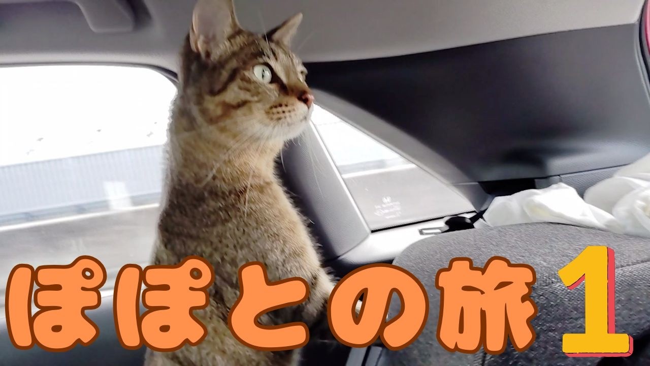 ぽぽとの旅　蒲郡①【A Journey with Popo: Gamagori①】