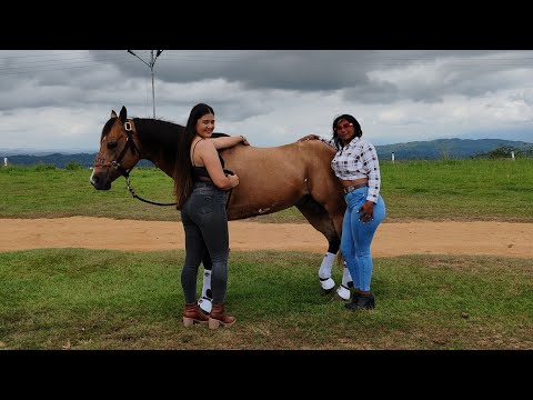 YUCA Y SALSITA- Jesús D. Quintero - El Tigrito de Matanegra