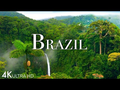 Brazil In Beautiful Tropical Country