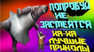 Попробуй не засмеяться. Видео приколы бесплатно. Ржачное видео.Смешное видео.Смешные моменты.Приколы