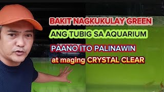 BAKIT NAGKUKULAY GREEN ANG TUBIG SA AQUARIUM / PAANO ITO PALINAWIN AT MAGING CRYSTAL CLEAR