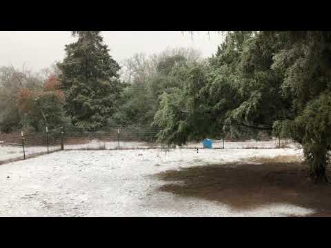 First snow 2021, Central Texas