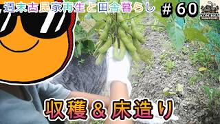 #60 リビング合板張りまで完成！【週末古民家再生と田舎暮らし】
