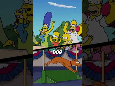 Marge Trains Santa's Little Helper #thesimpsons