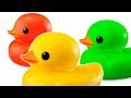 Rubber Ducks At The Swimming Pool Nursery Cartoon Animation Video