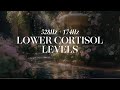 LOWER YOUR CORTISOL LEVELS Solfeggio Frequency 528 174Hz