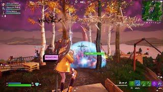 Fortnite_20231123221306