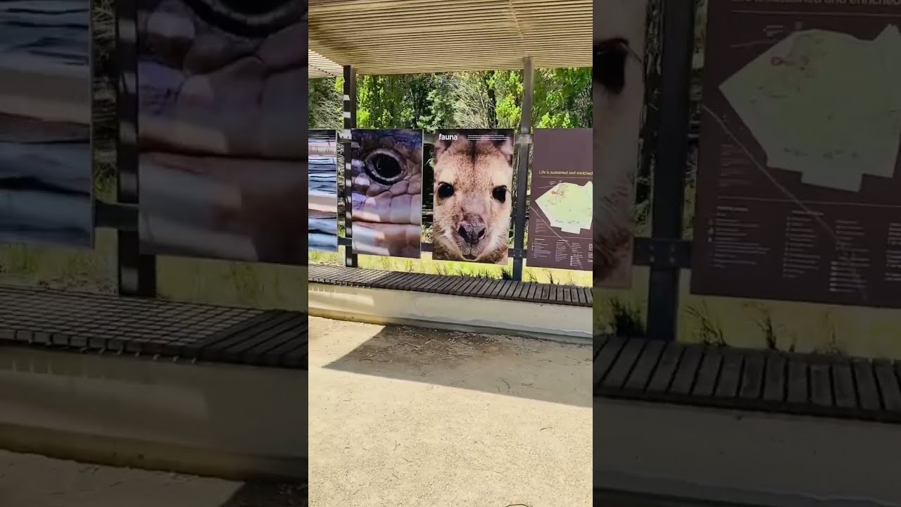 YouTube Short thumbnail