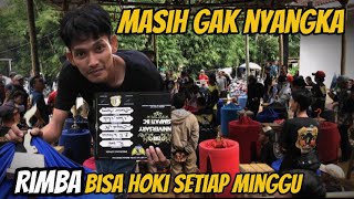 Download lagu The most exciting bird competition! & lots of participants Muray Batu Rimba won 1st place again #... mp3