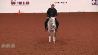 Pete Kyle on VKS Thundermoon Appaloosa World Open Senior Winner from 3-2-1 Action Video!