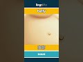 belly - 腹部 video thumbnail