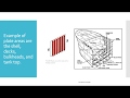 Stiffening Of Ship S Plates Ship Construction