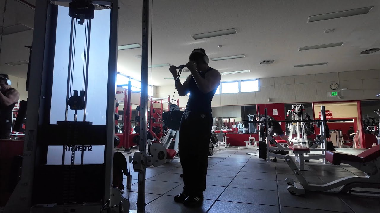 Shoulders & Arms | Vlog 4