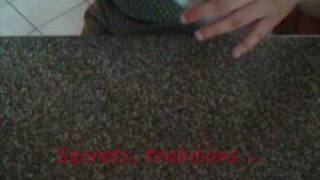 "Une vie moins ordinaire" par Claudia DA SILVA