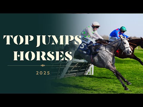 5 FANTASTIC Moments from 2025 Jumps Racing