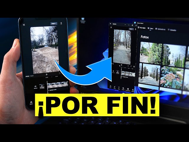 Video preview