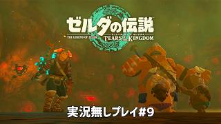 【実況無しVer.】ゼルダの伝説 ティアーズ オブ ザ キングダム#9（Nintendo Switch）～Dr.ねこじゃらしのノンレトロゲームの丸かじり～【30口目】
