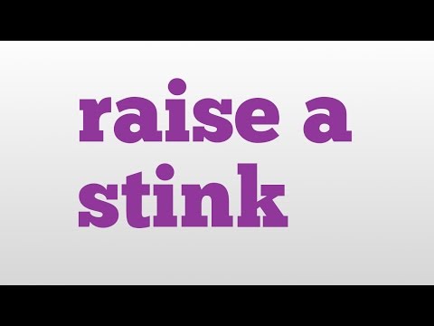 raise a stink meaning and pronunciation