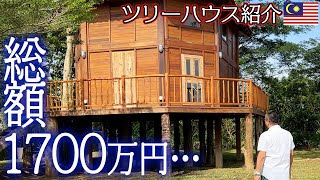 完成間近♪追加費用込みで総額1700万円！モンスト御殿のツリーハウス紹介ツアー