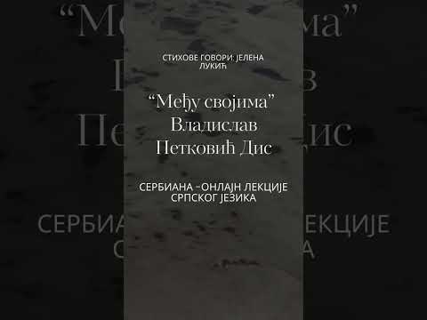 Међу својима, Владислав Петковић Дис