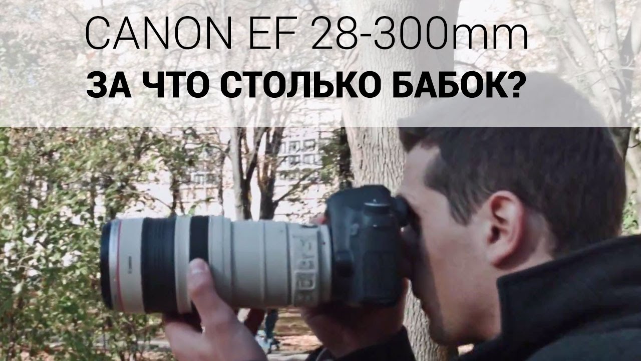 Объектив Canon EF 28-300mm f/3.5-5.6L IS USM