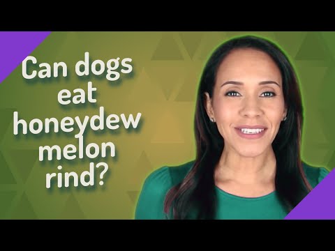 Can dogs eat honeydew melon rind?