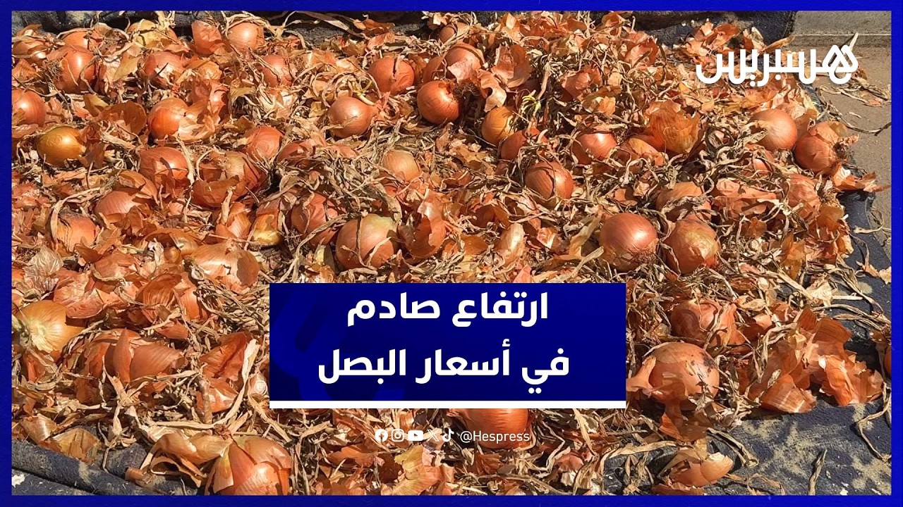 تفاصيل ارتفاع أسعار البصل بالمغرب وبلوغها 16 درهما thumbnail