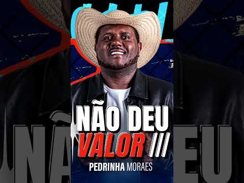 Não deu Valor - Pedrinha Moraes