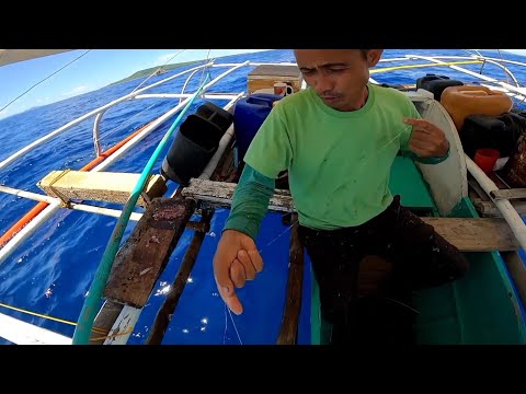 Isdang matakaw sa pamain