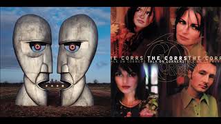 Keep Talking, Paddy McCarthy [Pink Floyd &amp; The Corrs Mashup]