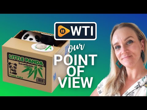 Panda Piggy Bank - WTI product video review