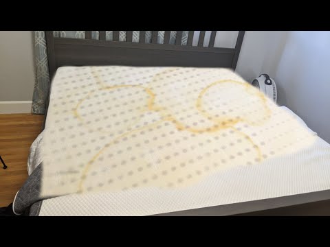 image-How to get dog urine out of a mattress? 