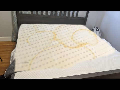 YouTube video about: How to get cat pee out of mattress reddit?