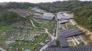 [討論] 這樣青鳥OK嗎?