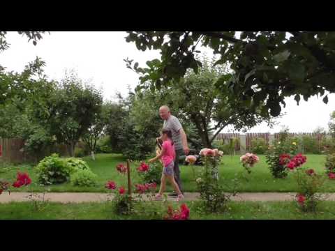 Cu Anna in vizita la prietenul Cornel, caruia i-am format niste roi de albine