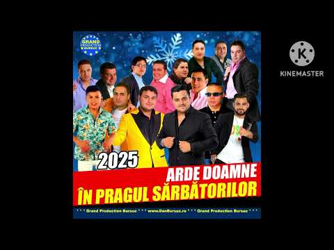 Stelica de la craiova mandataru