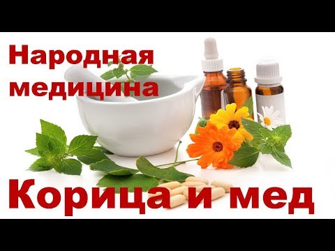 Грыжи дисков шейного отдела как лечить Есть ли позвонки в грудном отделе
