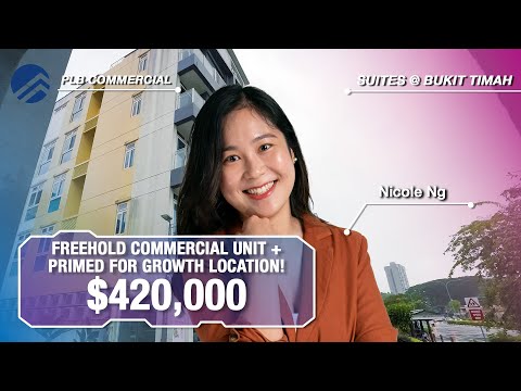 , title : 'Suites @ Bukit Timah - Freehold Ground Floor Commercial Unit @ District 21 | $480,000 | Nicole'