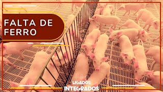 Miniatura do vídeo