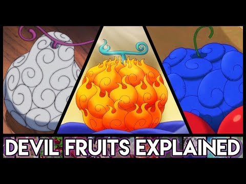 Explaining Devil Fruits - Everything You Need To KnowOne Piece Explained